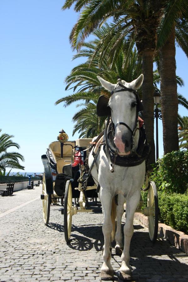 Beachside Puerto Banus Stunning 312 *